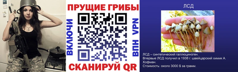 Псилоцибиновые грибы MAGIC MUSHROOMS  купить закладку  hydra ТОР  Мценск 